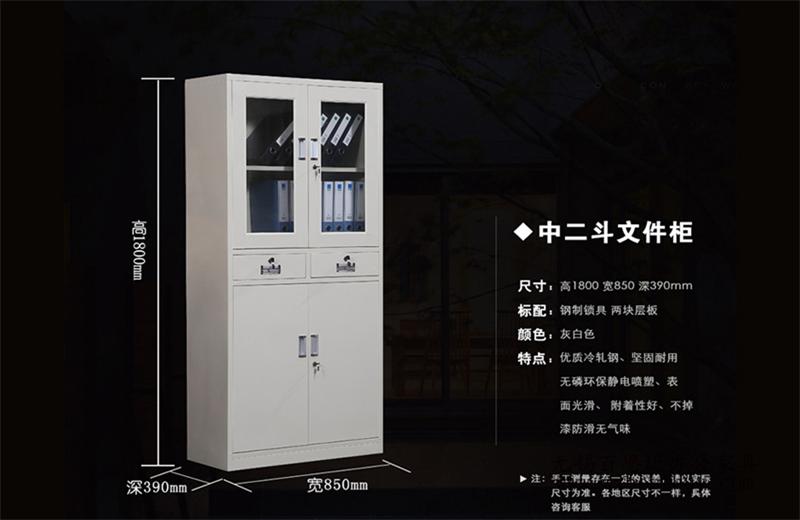 安徽鋼制文件柜廠(chǎng)家